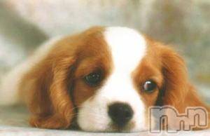 上越デリヘル上越風俗出張アロママッサージ(ジョウエツフウゾクシュッチョウアロママッサージ)ゆずき☆(37)の2015年10月29日写メブログ「ありがとうございました！」