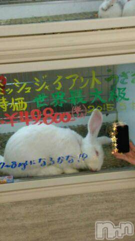 上越風俗エステ上越風俗出張アロママッサージ(ジョウエツフウゾクシュッチョウアロママッサージ)ゆずき☆(37)の2015年11月11日写メブログ「どうしても伝えたいこと」