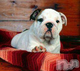 上越デリヘル上越風俗出張アロママッサージ(ジョウエツフウゾクシュッチョウアロママッサージ)ゆずき☆(37)の2015年11月28日写メブログ「ありがとうございました」