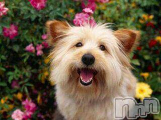 上越デリヘル上越風俗出張アロママッサージ(ジョウエツフウゾクシュッチョウアロママッサージ)ゆずき☆(37)の2015年11月29日写メブログ「ありがとうございました」