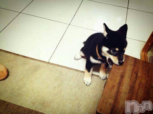 上越デリヘル上越風俗出張アロママッサージ(ジョウエツフウゾクシュッチョウアロママッサージ)ゆずき☆(37)の2016年3月28日写メブログ「ありがとうございました」