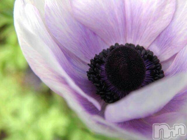 上越デリヘル上越風俗出張アロママッサージ(ジョウエツフウゾクシュッチョウアロママッサージ)ゆずき☆(37)の2016年3月28日写メブログ「ありがとうございました」