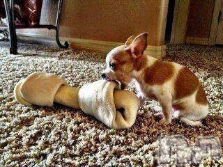 上越デリヘル上越風俗出張アロママッサージ(ジョウエツフウゾクシュッチョウアロママッサージ)ゆずき☆(37)の2016年5月30日写メブログ「ありがとうございました」