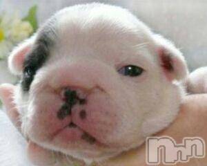 上越デリヘル上越風俗出張アロママッサージ(ジョウエツフウゾクシュッチョウアロママッサージ)ゆずき☆(37)の2016年5月30日写メブログ「ありがとうございました」