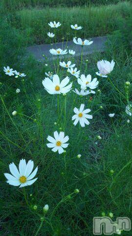 上越デリヘル上越風俗出張アロママッサージ(ジョウエツフウゾクシュッチョウアロママッサージ)ゆずき☆(37)の2016年9月27日写メブログ「ありがとうございました」