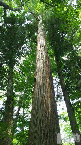 上越デリヘル上越風俗出張アロママッサージ(ジョウエツフウゾクシュッチョウアロママッサージ)ゆずき☆(37)の2016年9月30日写メブログ「本日は晴天なり」