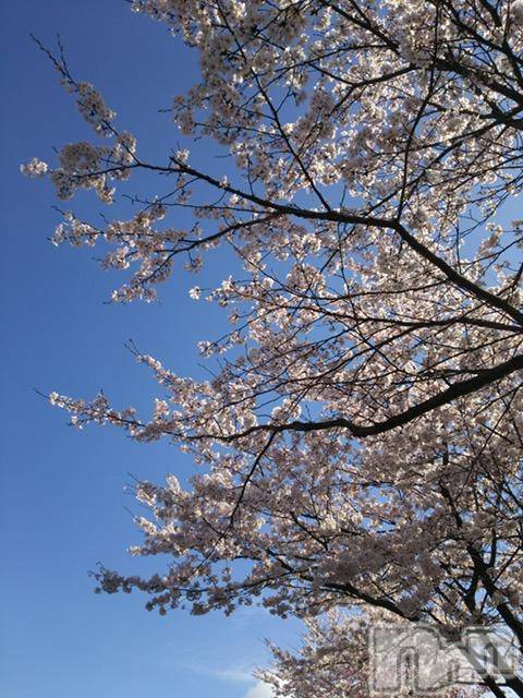 上越デリヘル上越風俗出張アロママッサージ(ジョウエツフウゾクシュッチョウアロママッサージ)ゆずき☆(37)の2017年5月1日写メブログ「ありがとうございました❤︎」