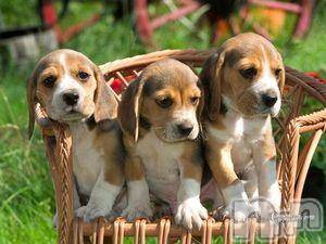 上越デリヘル上越風俗出張アロママッサージ(ジョウエツフウゾクシュッチョウアロママッサージ)ゆずき☆(37)の2017年5月6日写メブログ「ありがとうございました❤︎」