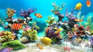 上越デリヘル上越風俗出張アロママッサージ(ジョウエツフウゾクシュッチョウアロママッサージ)ゆずき☆(37)の2017年6月17日写メブログ「ありがとうございました」