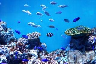 上越デリヘル上越風俗出張アロママッサージ(ジョウエツフウゾクシュッチョウアロママッサージ)ゆずき☆(37)の2017年6月18日写メブログ「ありがとうございました♡」