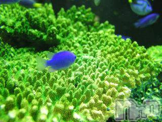 上越デリヘル上越風俗出張アロママッサージ(ジョウエツフウゾクシュッチョウアロママッサージ)ゆずき☆(37)の2017年7月7日写メブログ「ありがとうございました♡」