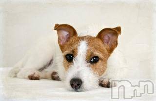 上越デリヘル上越風俗出張アロママッサージ(ジョウエツフウゾクシュッチョウアロママッサージ)ゆずき☆(37)の2017年7月15日写メブログ「ありがとうございました♡」