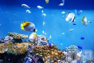 上越デリヘル上越風俗出張アロママッサージ(ジョウエツフウゾクシュッチョウアロママッサージ)ゆずき☆(37)の2017年7月17日写メブログ「ありがとうございました♡」