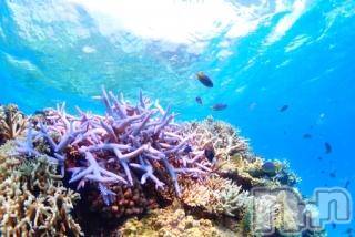 上越デリヘル上越風俗出張アロママッサージ(ジョウエツフウゾクシュッチョウアロママッサージ)ゆずき☆(37)の2017年9月23日写メブログ「ありがとうございました♡」