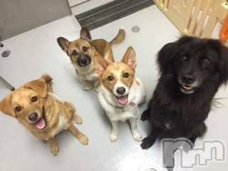 上越デリヘル上越風俗出張アロママッサージ(ジョウエツフウゾクシュッチョウアロママッサージ)ゆずき☆(37)の2017年10月6日写メブログ「ありがとうございました♡」