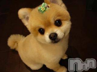 上越デリヘル上越風俗出張アロママッサージ(ジョウエツフウゾクシュッチョウアロママッサージ)ゆずき☆(37)の2017年10月8日写メブログ「ありがとうございました♡」