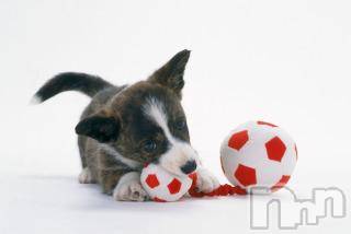 上越デリヘル上越風俗出張アロママッサージ(ジョウエツフウゾクシュッチョウアロママッサージ)ゆずき☆(37)の2017年10月10日写メブログ「ありがとうございました♡」