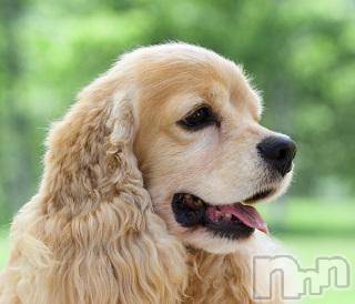 上越デリヘル上越風俗出張アロママッサージ(ジョウエツフウゾクシュッチョウアロママッサージ)ゆずき☆(37)の2017年10月10日写メブログ「ありがとうございました♡」