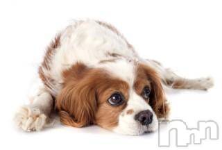 上越デリヘル上越風俗出張アロママッサージ(ジョウエツフウゾクシュッチョウアロママッサージ)ゆずき☆(37)の2017年10月10日写メブログ「ありがとうございました♡」