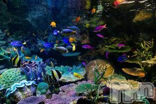 上越デリヘル上越風俗出張アロママッサージ(ジョウエツフウゾクシュッチョウアロママッサージ)ゆずき☆(37)の2017年10月15日写メブログ「ありがとうございました♡」