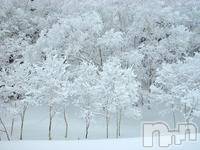 上越デリヘル上越風俗出張アロママッサージ(ジョウエツフウゾクシュッチョウアロママッサージ)ゆずき☆(37)の2018年1月12日写メブログ「ありがとうございました♡」