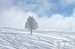 上越デリヘル上越風俗出張アロママッサージ(ジョウエツフウゾクシュッチョウアロママッサージ)ゆずき☆(37)の2018年1月25日写メブログ「ありがとうございました♡」