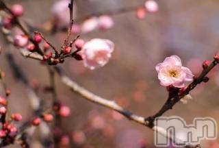 上越デリヘル上越風俗出張アロママッサージ(ジョウエツフウゾクシュッチョウアロママッサージ)ゆずき☆(37)の2018年2月9日写メブログ「ありがとうございました♡」