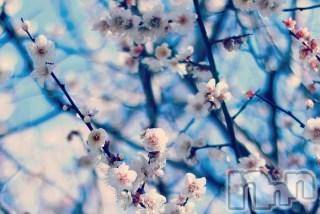 上越デリヘル上越風俗出張アロママッサージ(ジョウエツフウゾクシュッチョウアロママッサージ)ゆずき☆(37)の2018年2月11日写メブログ「ありがとうございました♡」