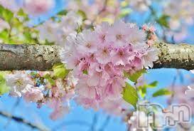 上越デリヘル上越風俗出張アロママッサージ(ジョウエツフウゾクシュッチョウアロママッサージ)ゆずき☆(37)の2018年2月11日写メブログ「ありがとうございました♡」