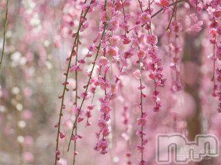 上越デリヘル上越風俗出張アロママッサージ(ジョウエツフウゾクシュッチョウアロママッサージ)ゆずき☆(37)の2018年2月11日写メブログ「ありがとうございました♡」