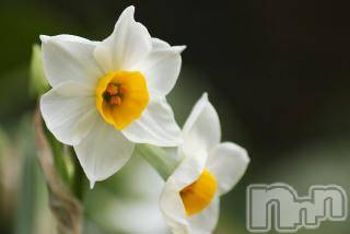 上越デリヘル上越風俗出張アロママッサージ(ジョウエツフウゾクシュッチョウアロママッサージ)ゆずき☆(37)の2018年2月16日写メブログ「ありがとうございました♡」