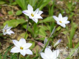 上越デリヘル上越風俗出張アロママッサージ(ジョウエツフウゾクシュッチョウアロママッサージ)ゆずき☆(37)の2018年2月21日写メブログ「ありがとうございました♡」