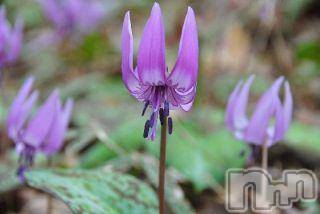 上越デリヘル上越風俗出張アロママッサージ(ジョウエツフウゾクシュッチョウアロママッサージ)ゆずき☆(37)の2018年2月21日写メブログ「ありがとうございました♡」