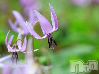 上越デリヘル上越風俗出張アロママッサージ(ジョウエツフウゾクシュッチョウアロママッサージ)ゆずき☆(37)の2018年2月21日写メブログ「ありがとうございました♡」