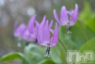 上越デリヘル上越風俗出張アロママッサージ(ジョウエツフウゾクシュッチョウアロママッサージ)ゆずき☆(37)の2018年2月22日写メブログ「ありがとうございます♡」