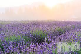 上越デリヘル上越風俗出張アロママッサージ(ジョウエツフウゾクシュッチョウアロママッサージ)ゆずき☆(37)の2018年2月22日写メブログ「ありがとうございました♡」