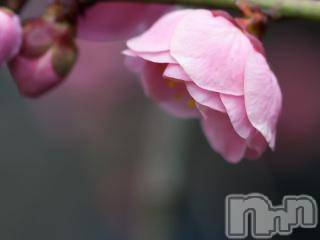 上越デリヘル上越風俗出張アロママッサージ(ジョウエツフウゾクシュッチョウアロママッサージ)ゆずき☆(37)の2018年3月22日写メブログ「ありがとうございました♡」