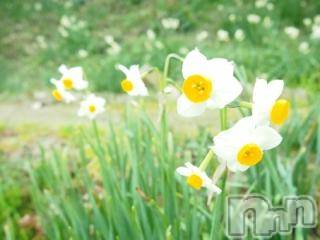 上越デリヘル上越風俗出張アロママッサージ(ジョウエツフウゾクシュッチョウアロママッサージ)ゆずき☆(37)の2018年3月22日写メブログ「ありがとうございました♡」