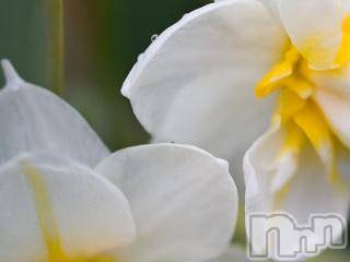 上越デリヘル上越風俗出張アロママッサージ(ジョウエツフウゾクシュッチョウアロママッサージ)ゆずき☆(37)の2018年3月24日写メブログ「ありがとうございました♡」