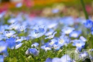 上越デリヘル上越風俗出張アロママッサージ(ジョウエツフウゾクシュッチョウアロママッサージ)ゆずき☆(37)の2018年3月24日写メブログ「ありがとうございました♡」