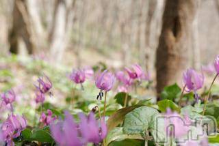 上越デリヘル上越風俗出張アロママッサージ(ジョウエツフウゾクシュッチョウアロママッサージ)ゆずき☆(37)の2018年3月25日写メブログ「ありがとうございました♡」