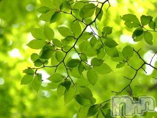 上越デリヘル上越風俗出張アロママッサージ(ジョウエツフウゾクシュッチョウアロママッサージ)ゆずき☆(37)の2018年4月17日写メブログ「ありがとうございました♡」