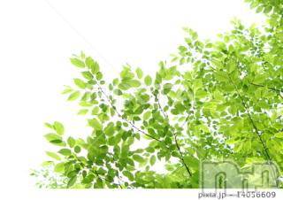 上越デリヘル上越風俗出張アロママッサージ(ジョウエツフウゾクシュッチョウアロママッサージ)ゆずき☆(37)の2018年4月19日写メブログ「ありがとうございます♡」