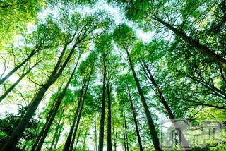 上越デリヘル上越風俗出張アロママッサージ(ジョウエツフウゾクシュッチョウアロママッサージ)ゆずき☆(37)の2018年4月19日写メブログ「ありがとうございました♡」