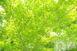 上越デリヘル上越風俗出張アロママッサージ(ジョウエツフウゾクシュッチョウアロママッサージ)ゆずき☆(37)の2018年4月20日写メブログ「ありがとうございました♡」