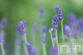 上越デリヘル上越風俗出張アロママッサージ(ジョウエツフウゾクシュッチョウアロママッサージ)ゆずき☆(37)の2018年4月29日写メブログ「ありがとうございました♡」