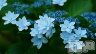 上越デリヘル上越風俗出張アロママッサージ(ジョウエツフウゾクシュッチョウアロママッサージ)ゆずき☆(37)の2018年7月3日写メブログ「ありがとうございました♡」