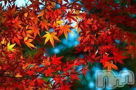 上越デリヘル上越風俗出張アロママッサージ(ジョウエツフウゾクシュッチョウアロママッサージ)ゆずき☆(37)の2018年10月18日写メブログ「ありがとうございました♡」