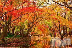 上越デリヘル上越風俗出張アロママッサージ(ジョウエツフウゾクシュッチョウアロママッサージ)ゆずき☆(37)の2018年10月21日写メブログ「ありがとうございました♡」