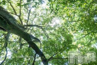 上越デリヘル上越風俗出張アロママッサージ(ジョウエツフウゾクシュッチョウアロママッサージ)ゆずき☆(37)の2019年5月18日写メブログ「ありがとうございました♡」